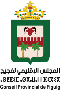 المجلس الإقليمي لفجيج